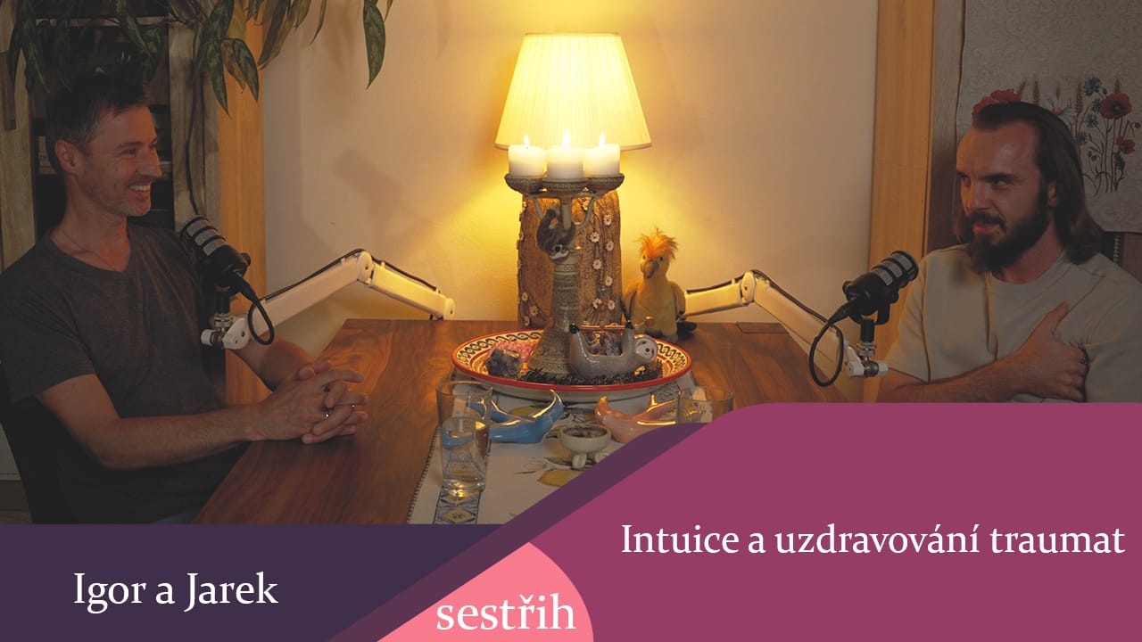 Intuice a uzdravování traumat - sestřih