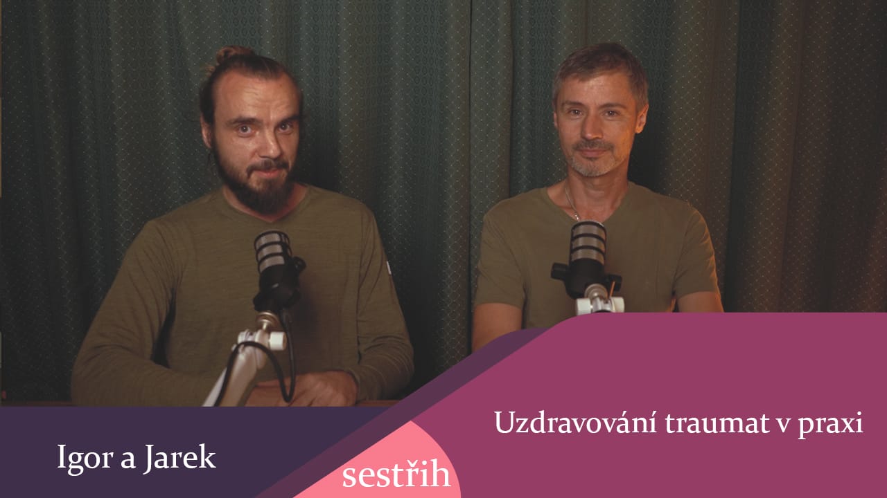 22. 8. 2026 Uzdravování traumat v praxi - sestřih