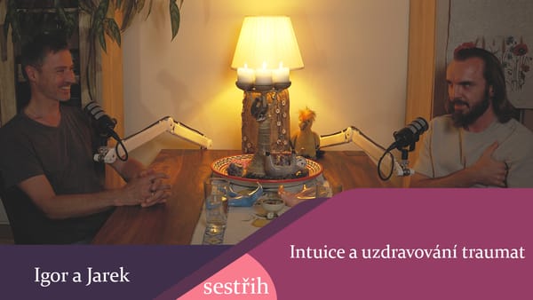 Intuice a uzdravování traumat - sestřih