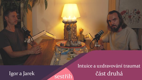 Intuice a uzdravování traumat část druhá - sestřih