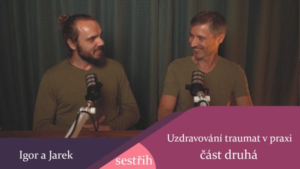 7. 9. 2026 Uzdravování traumat v praxi díl druhý - sestřih